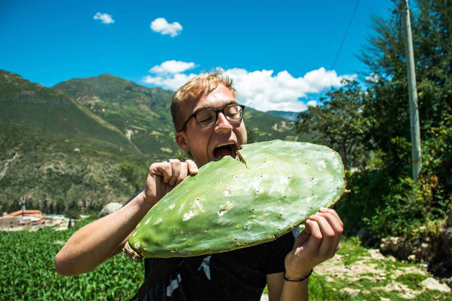 YWAM missionary pretending to eat a large cactus leaf on outreachq