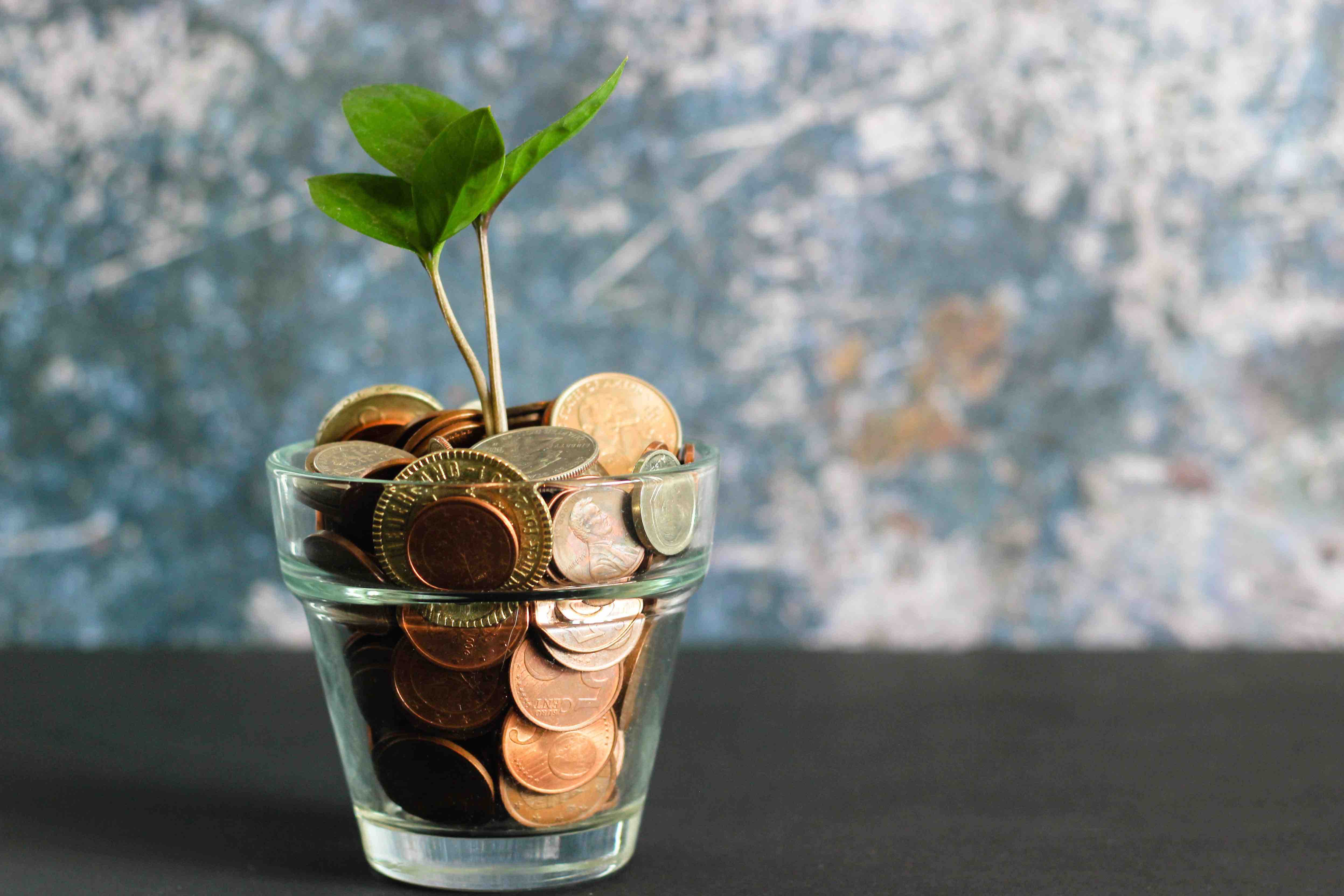 A green leaf growing out of a cup of coins on a desk as inspiration to raise money for missionary work